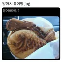 양아치 붕어빵.jpg
