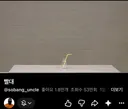 김진석 소방위 추모하는 소방관 삼촌 나경진 소방교