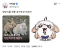 인방) 라디유 근황.jpg