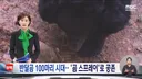 슬슬 좃됨이 느껴지는 지리산 반달곰 뉴스 ㄷㄷ