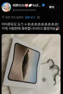 버튜버)아이폰 티배깅 고수 네네 근황
