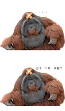 민주당 정부의 가장 큰 문제점
