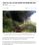 국방부 정신 차렸으면 좋겠습니다....