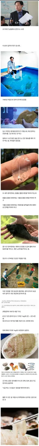 회 먹을 때마다 감사한 인물 GOAT