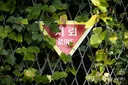 속보) "北, DMZ 일대 지뢰 96만발 매설"