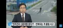 약혐 반려견과 신혼여행 왔다가보더콜리 물림 사고news
