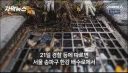 송파구 한강 배수로서 백골 시신 발견
