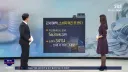 관세 563억 깎아줬는데 소매가 그대로였던 이유