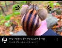 모기 전문 유튜버 쩔템 근황.jpg