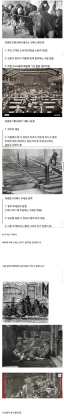 산업혁명 시대 밧줄 침대의 진실