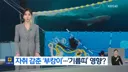 말 많던 부산 상어 부캉이 근황