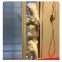 고양이 잘있냐는 물음에 사진을 보낸 엄마