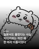일본에서도 몰랐다는 치이카와에 대한 사실.jpg