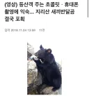 지리산 곰이 여태 사람을 잡아먹지 않았던 이유