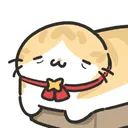 설마 2주 꽉 채워서 오려고?