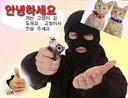 응시자들이 큰 성취감을 느끼는 자격증 시험(feat. 가성비)