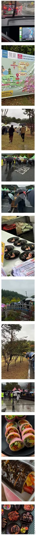 지역 축제 비오면 사람 안와서 망한다며 ?