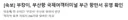 부캉이, 부산항 국제여객터미널 부근 항만서 유영 확인
