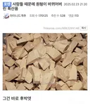 사람들 때문에 원형이 비뀌어버린 특산물