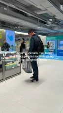 서울 번화가/관광지 올리브영 가면 볼 수 있는 풍경
