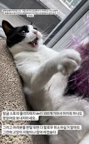 냥이들 사료부터 병원비까지 챙겨 온 나폴리맛피아 권성준