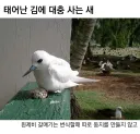 태어난 김에 대충 사는 새.jpg