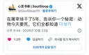 도축장에서 5년을 일하며 깨달은 비밀: 동물들은 오늘 자신이 죽는다는 걸 모두 알고 있다
