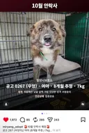 우엉이 김밥이 입양가게 해주라 ㅠㅠㅠㅠㅠㅠ
