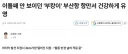 부캉이가 끝물은 맞긴 함