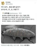 중국, "동물 몸에 문신하는 기술 개발"