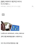 간지나는 언어.jpg