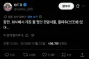 회사에서 가끔 물주던 식물이 알고보니 조화였다