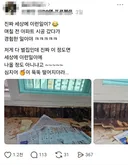 아파트 인테리어 하러갔다가 벌집만난 시공업자