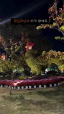 기괴한 대전 국화 축제