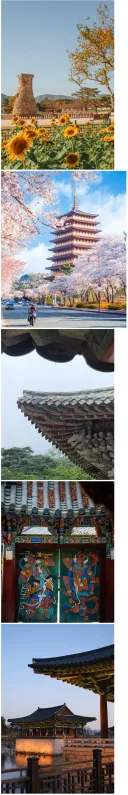 외국인 눈에 비친 경주.sajin