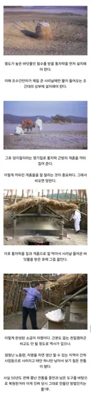 천일염같은 사기가 아닌 진짜 한국 전통 소금 만드는 법