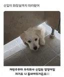 저번주에 들어온 신입이 화장실까지 따라옴.jpg
