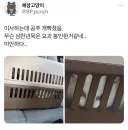 고양이는 표정 없다는게 구라인 이유