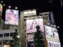 블루아카) 아아 이제야 깨달았다