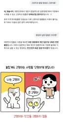 고양이과, 영장류 유일 입양 동물.jpg