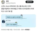 스위스 숙소값이 너무 비싸서 생각해낸 꿀팁