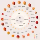 복숭아 품종별 맛과 식감