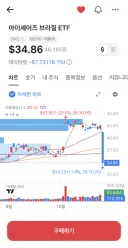 브라질 좌파 정부 당선 직후 미국 상장 브라질 ETF.JPG