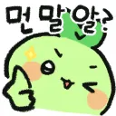 마클 대회 후기