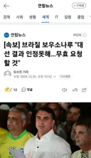 브라질 보우소나루 '대선 결과 인정못해…무효 요청할 것'