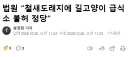 법원 을숙도 철새도래지에 길고양이 급식소 불허 정당