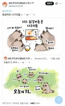 일본인들이 트위터에서 요즘 너구리 취급받는 이유.JPG