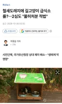 국내 최대 철새 도래지이자 천연기념물로 지정된 자연유산에 냥이 급식소 왜 만듦?