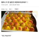 할머니 이 천같은 건 포장에 왜 넣어요?