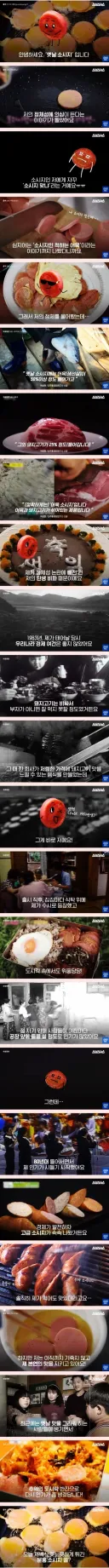 분홍 소시지 정체